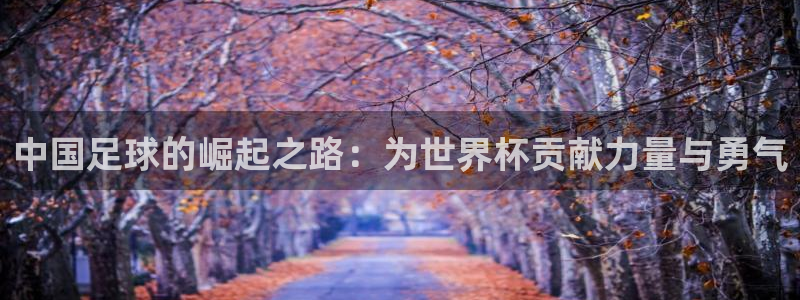 足球世界杯：中国足球的崛起之路：为世界杯贡献力量与勇气