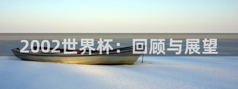 世界杯：2002世界杯：回顾与展望