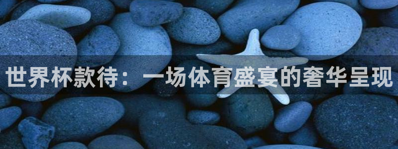 2026世预赛赛程：世界杯款待：一场体育盛宴的奢华呈现