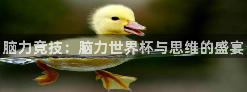 联赛杯直播：脑力竞技：脑力世界杯与思维的盛宴