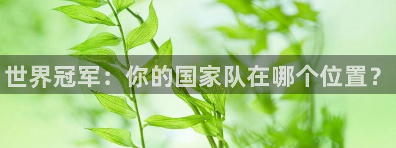 世界杯足球赛2026：世界冠军：你的国家队在哪个位置？