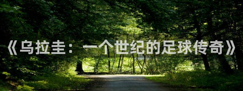 世界杯预选赛2026：《乌拉圭：一个世纪的足球传奇》