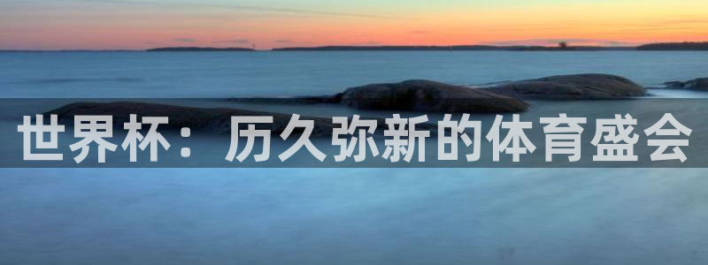 2026男足世界杯：世界杯：历久弥新的体育盛会
