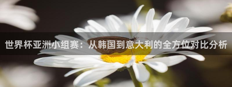 世界杯预选赛欧洲区赛程：世界杯亚洲小组赛：从韩国到意大利的全方位对比分析
