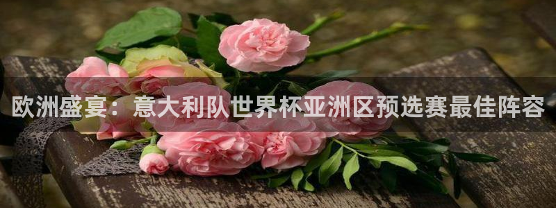 2026年世界杯：欧洲盛宴：意大利队世界杯亚洲区预选赛最佳阵容