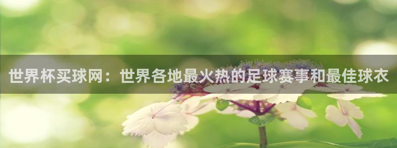 世界杯小组赛赛程：世界杯买球网：世界各地最火热的足球赛事和最佳球衣