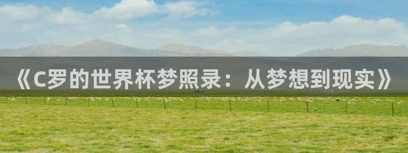 世界杯亚洲区预选赛积分榜：《C罗的世界杯梦照录：从梦想到现实》