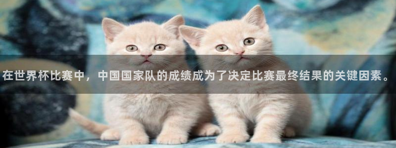 2026世界杯德国队阵容：在世界杯比赛中，中国国家队的成绩成为了决定比赛最终结果的关键因素。