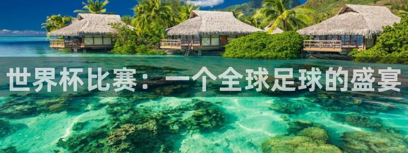 2026世界杯德国队阵容：世界杯比赛：一个全球足球的盛宴