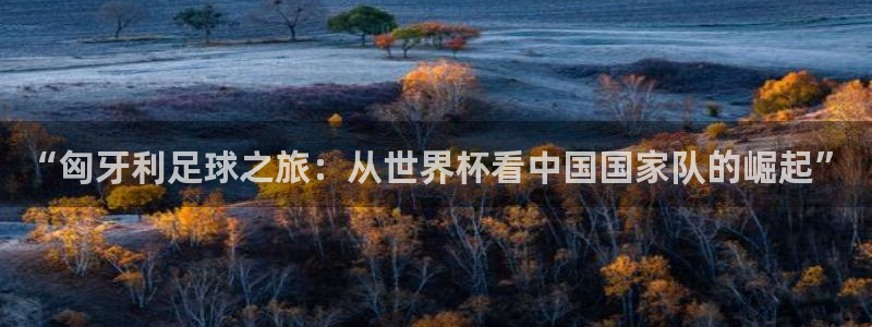 世界杯直播在线观看入口：“匈牙利足球之旅：从世界杯看中国国家队的崛起”
